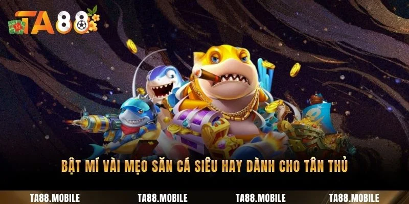 Bật mí vài mẹo săn cá siêu hay dành cho tân thủ