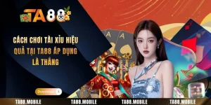 Cách Chơi Tài Xỉu