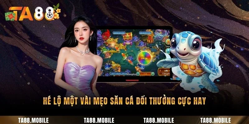 Hé lộ một vài mẹo săn cá đổi thưởng cực hay