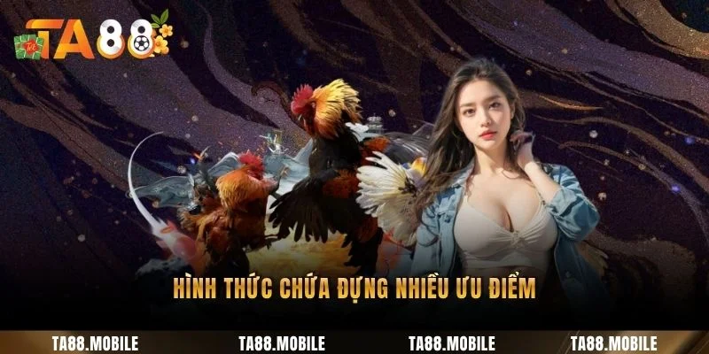 Hình thức chứa đựng nhiều ưu điểm