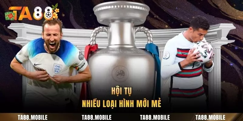 Hội tụ nhiều loại hình mới mẻ