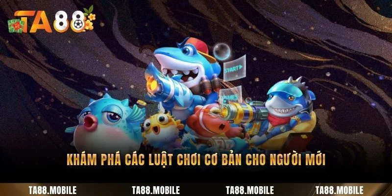 Khám phá các luật chơi cơ bản cho người mới