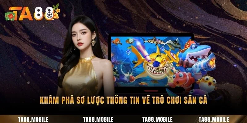 Khám phá sơ lược thông tin về trò chơi săn cá