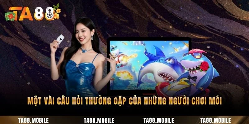 Một vài câu hỏi thường gặp của những người chơi mới