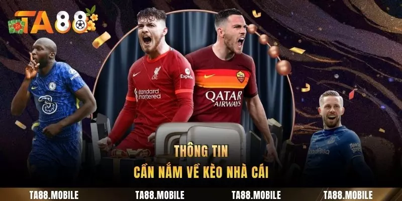 Thông tin cần nắm về kèo nhà cái