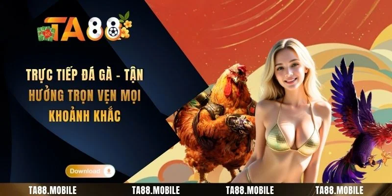Trực Tiếp Đá Gà
