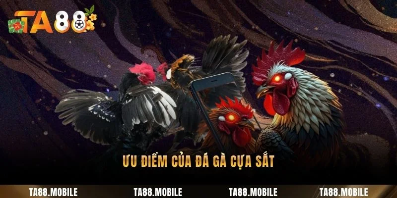 Ưu điểm của đá gà cựa sắt